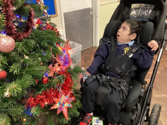 Dressing the Christmas Tree